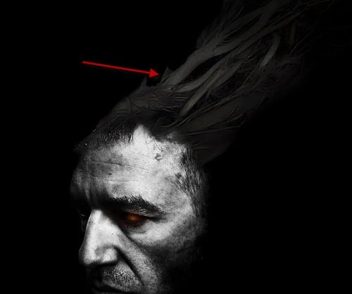 4 paste1 500x418 Design an Interesting Human Face Manipulation with Tree Roots Texture in Photoshop