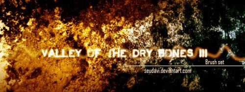 Valley of the Dry Bones 3 by seudavi 500x189 Fantastic Free Photoshop Brushsets for Photo Manipulation   Part II