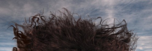 1 after 2 500x170 Quick and Effective Hair Extraction Techinque via Refine Mask in Photoshop (CS5+)