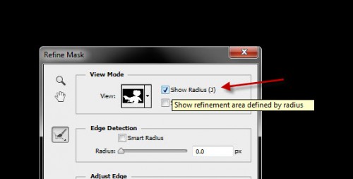 1 show radius 500x253 Quick and Effective Hair Extraction Techinque via Refine Mask in Photoshop (CS5+)