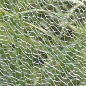 Freebies From the Vault: High Resolution Cracked Glass Texture Pack (10 in the Pack)